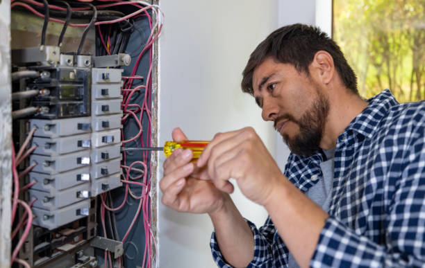 Best Electrical Upgrades for Homes  in Rossvle, IL